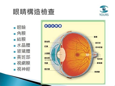 眼睛是什麼|眼睛構造全分析介紹 